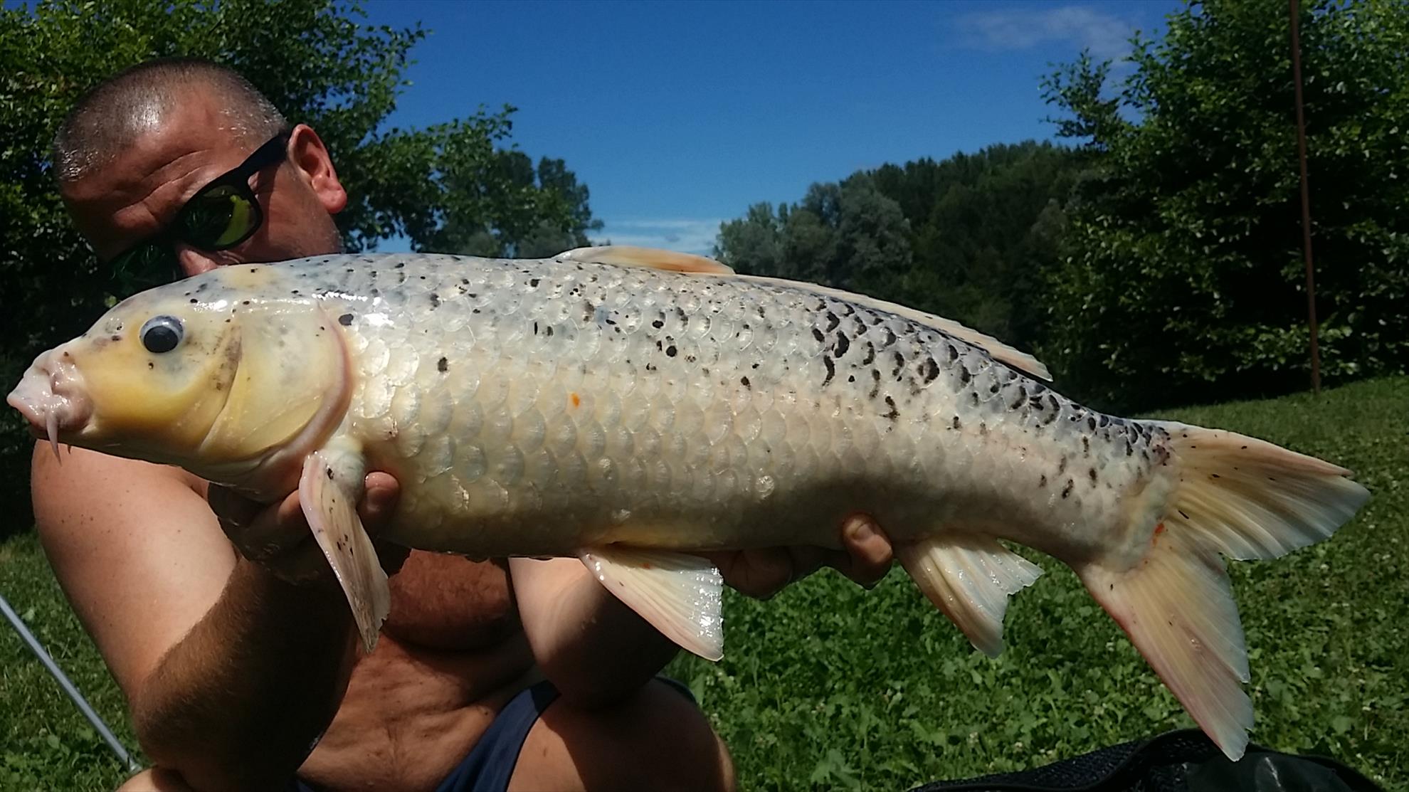 Lago Boschetto 1 - 2 iulie 2017 - 20170702131140.jpg